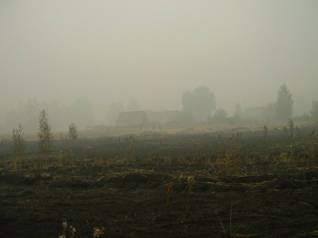 Заводчане на пожарах 2010 года. Выкса
